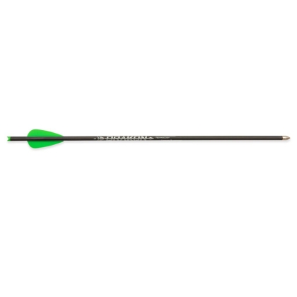 Set sageti arbaleta Skylon Drakon Green