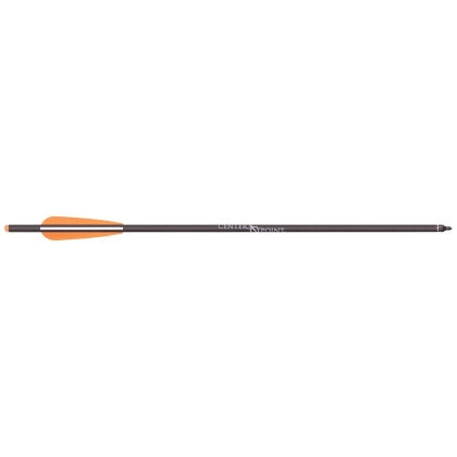 Set sageti carbon CenterPoint 20 inch