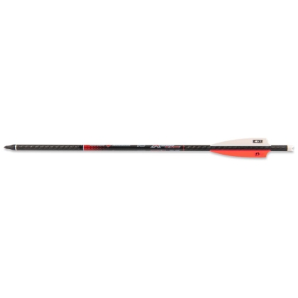 Set sageti arbaleta Skylon 3K Carbon 20 inch