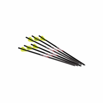 Set sageti arbaleta Excalibur Quill Carbon