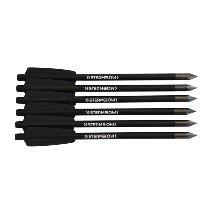 Sageti pistol arbaleta Steambow Stinger Bodkin