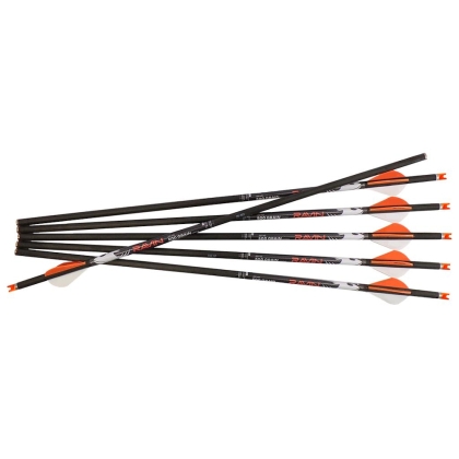 Set sageti arbaleta carbon Ravin 500