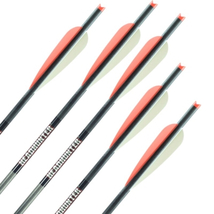 Set sageti arbaleta carbon Barnett Headhunter 22 inch