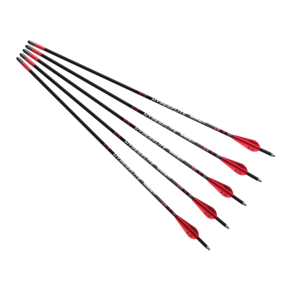 Set 5 sageti arbaleta carbon Barnett Hyperflite Carbon 22 inch