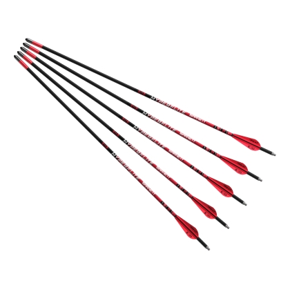 Set 5 sageti arbaleta carbon Barnett Hyperflite Carbon 20 inch