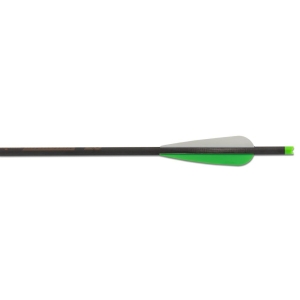 Set sageti arbaleta carbon Maximal Maxonia 20 inch
