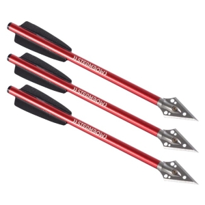 Sageti pistol arbaleta Steambow Stinger hunting