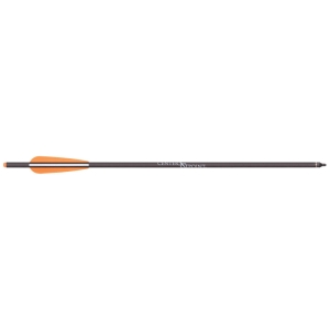 Set sageti carbon CenterPoint 20 inch
