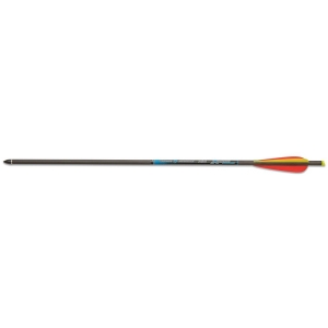 Set 10 sageti arbaleta Skylon Composite 22 inch