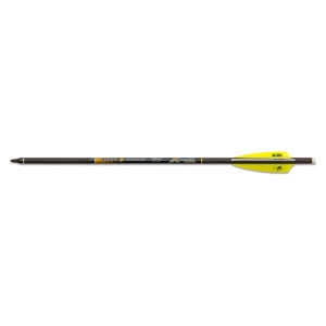 Set sageti arbaleta Skylon Carbon 22 inch