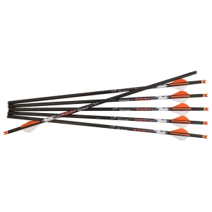 Set sageti arbaleta carbon Ravin 500