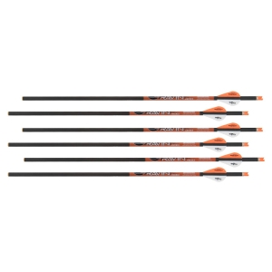 Set sageti arbaleta carbon Ravin