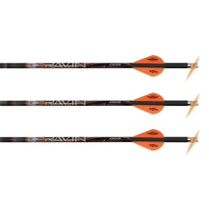 Set 3 sageti arbaleta carbon Ravin Premium iluminate