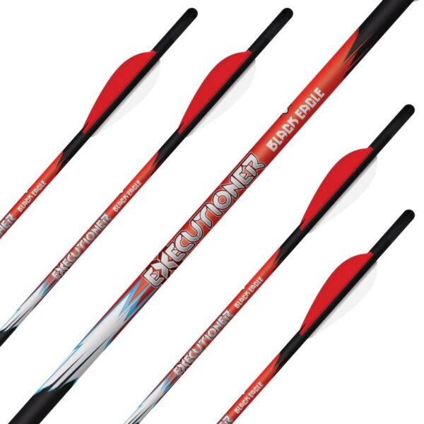 Set săgeți arbaletă carbon Black Eagle Executioner, 5 bucăți, 20 inch, pene 2 inch
